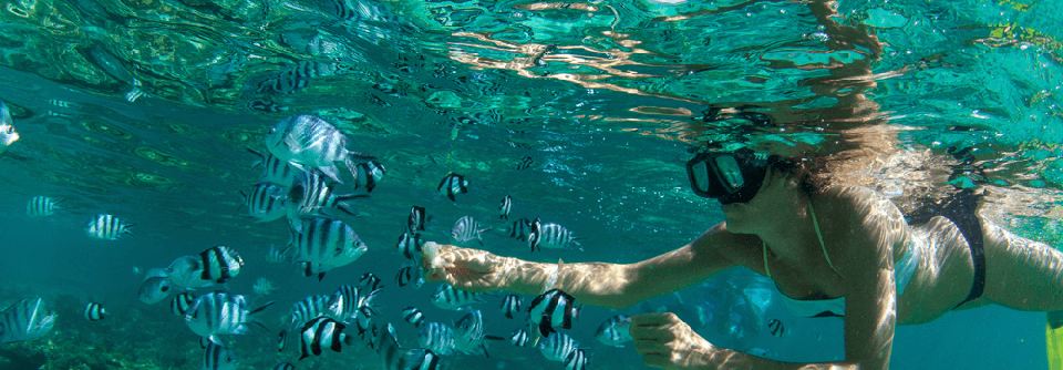 Instructor pointing out marine life to a student underwater.